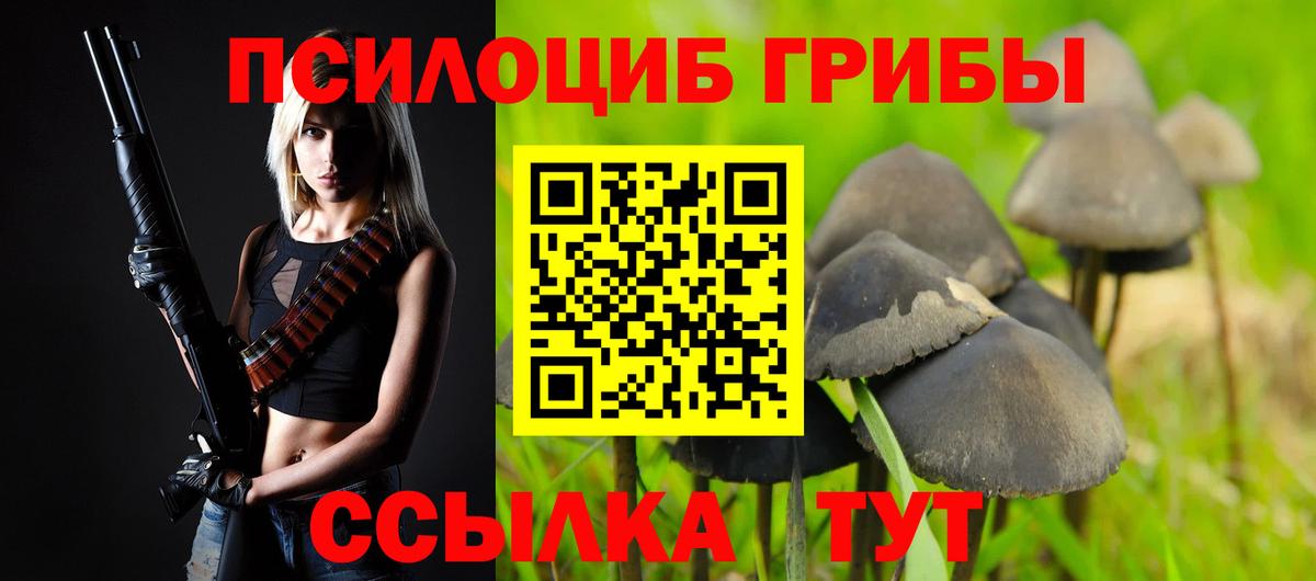 купить наркотик  Вход с VPN  Горно-Алтайск  Галлюциногенные грибы мицелий 